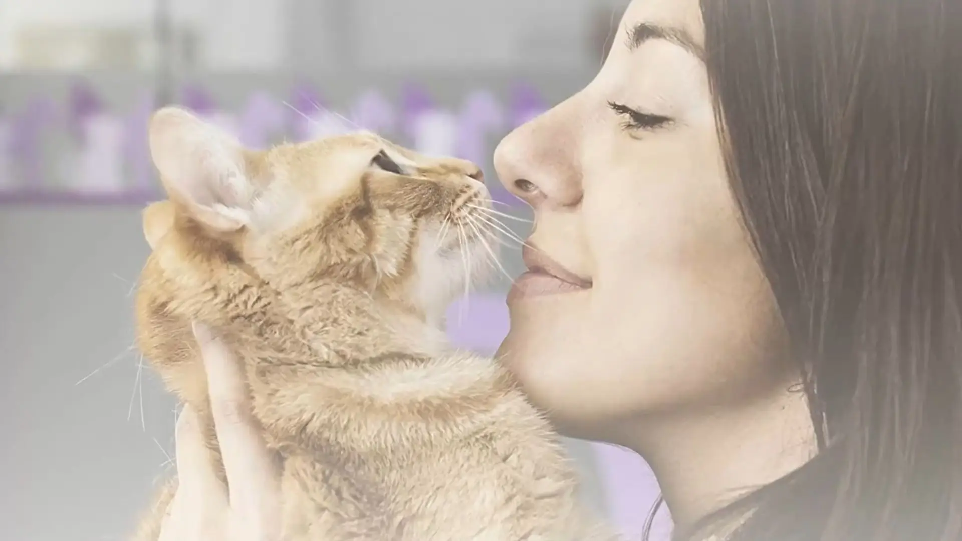 Eco friendly cat litter guide