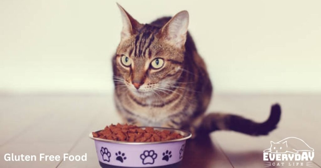 Gluten free cat food