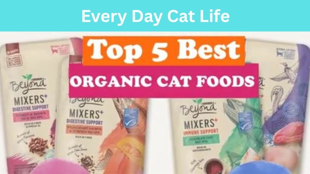 Organic Cat food