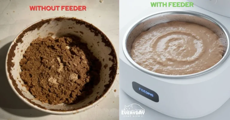 Comparison of dried out wet food vs fresh food in Petlibro Polar feeder.